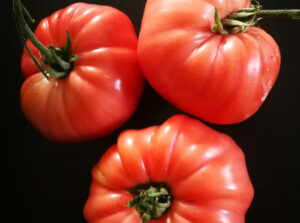 Have a Garden Brandywine Tomatoes