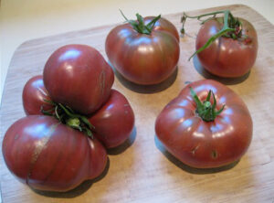 Have a Garden Cherokee Purple Tomatoes